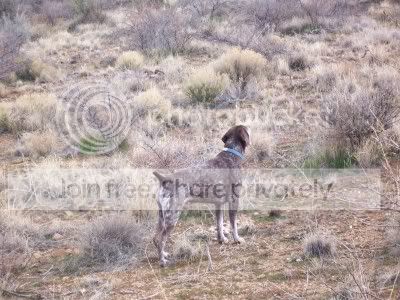  photo Billytestingwind.jpg