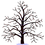 817237e8.gif