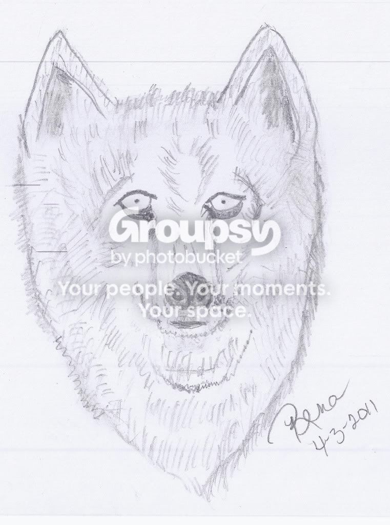 Wolf photo Wolf-Rena2.jpg