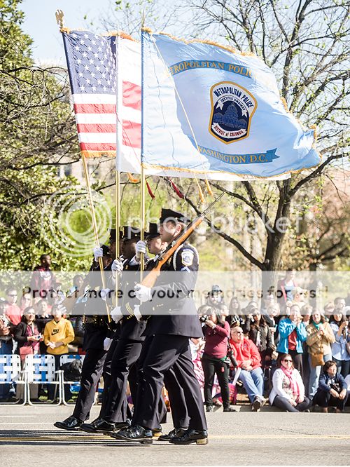 dc cherry blossom parade 2013