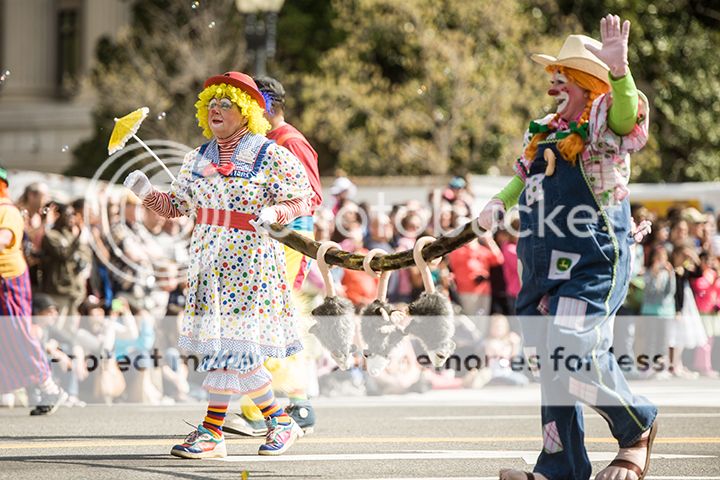 dc cherry blossom parade 2013