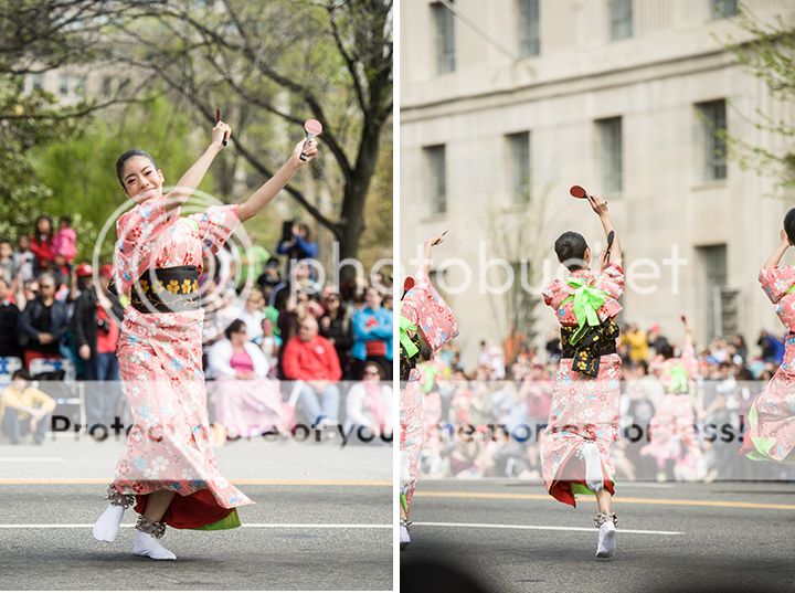 dc cherry blossom parade 2013
