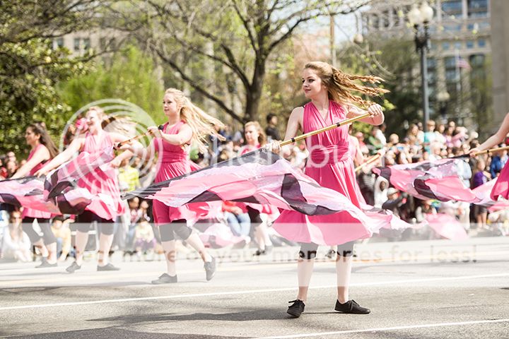 dc cherry blossom parade 2013