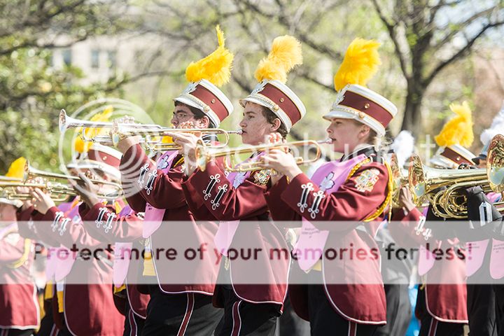 dc cherry blossom parade 2013