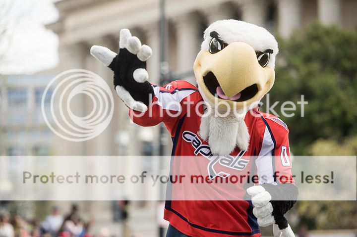 dc cherry blossom parade 2013