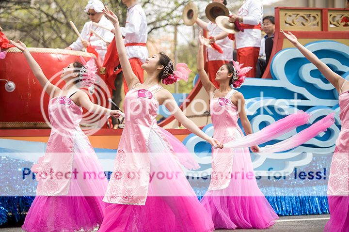 dc cherry blossom parade 2013