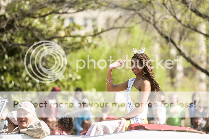 dc cherry blossom parade 2013