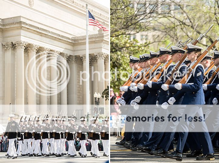dc cherry blossom parade 2013