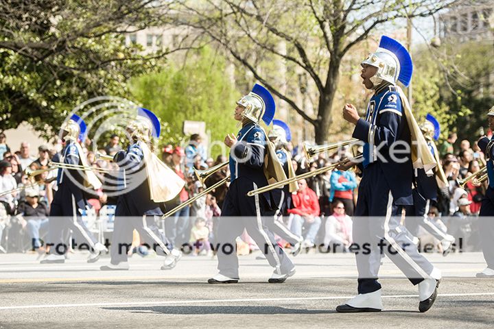 dc cherry blossom parade 2013